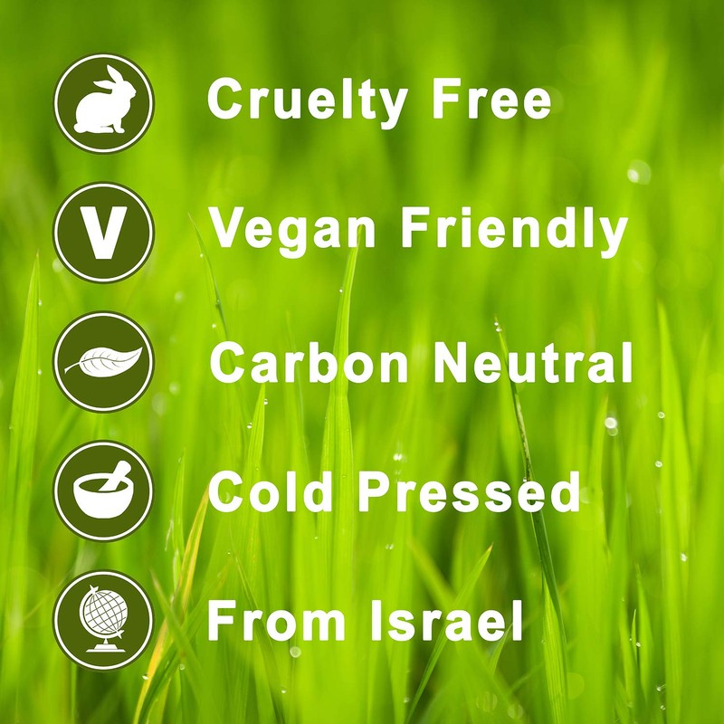 Grapefruit 100% Pure Essential Aromatherapy Oil 100ml