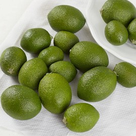 Factory Direct Craft Pack of 32 Artificial Limes - Fake Assorted Sizes Cute Citrus Limes for Fruit Bowl Displays Wreath Decoration and Arrangements