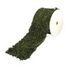Rayher 5531800 Moss Ribbon 10 cm Wide by 200 cm