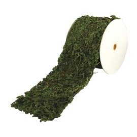 Rayher 5531800 Moss Ribbon 10 cm Wide by 200 cm long