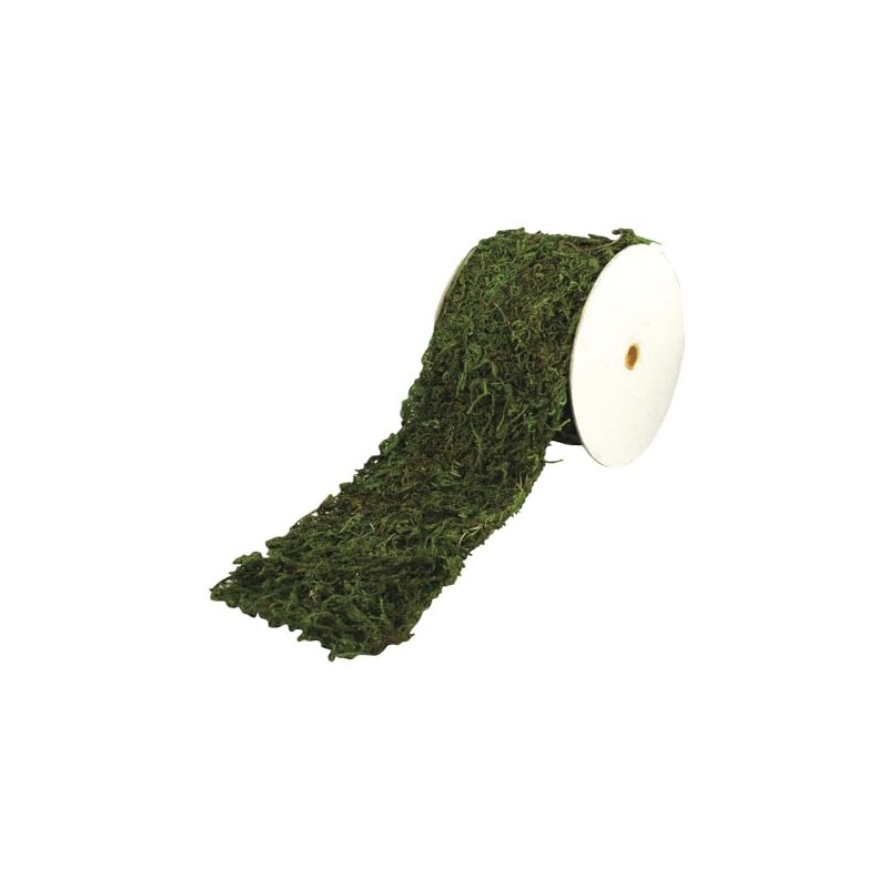 Rayher 5531800 Moss Ribbon 10 cm Wide by 200 cm
