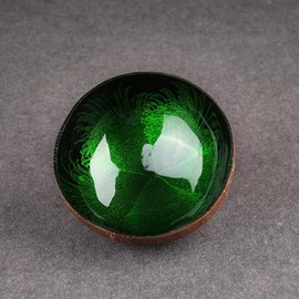 HEMOTON Coconut Bowls Natural Coconut Shell Bowl Decorative Key Storage Bowl Candy Container Nuts Holder (Green)