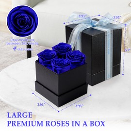 Valentines Day Rose Gifts for Her: Preserved Flowers 4 Blue Roses in a box - Anniversary Birthday Gift for Girlfriend Wife Women Mom