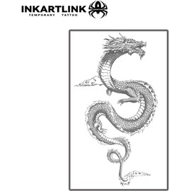 INKARTLINK Tattoo Tech, 2 Láminas de Tatuajes Temporales Semipermanentes Medianos, Diseño Artístico para Adultos, Duran de 1 A 2 Semanas, Resistentes Al Agua, Aspecto Realista, Sin Reflejo (Dragón)