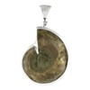 Starborn Sterling Silver Ammonite with Abalone Shell Inlay Pendant