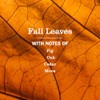 Mrs. MEYER'S CLEAN DAY Multi-Surface Everyday Cleaner, Fall Leaves Scent,