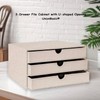 UnionBasic Document Organizer, 3-Drawer File Cabinet Document Storage Box, Office