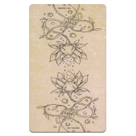 Tarot Cards, Divination, 78 Cards, Spirit Song, Tarot, Japanese Booklet (English Language Not Guaranteed)