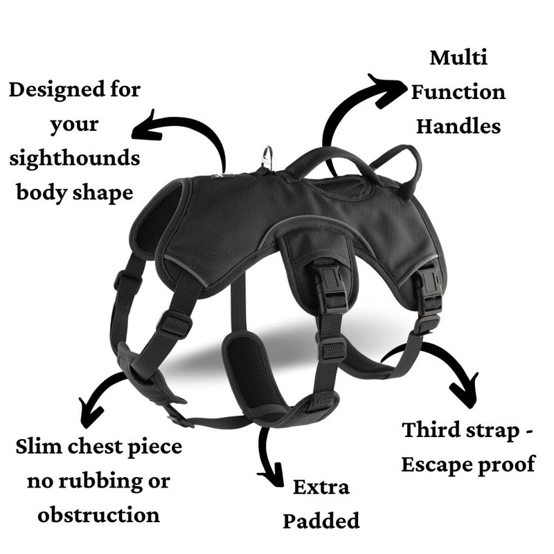 Snootiful Hound Sighthound Harness for Greyhounds, Whippets and Lurchers -
