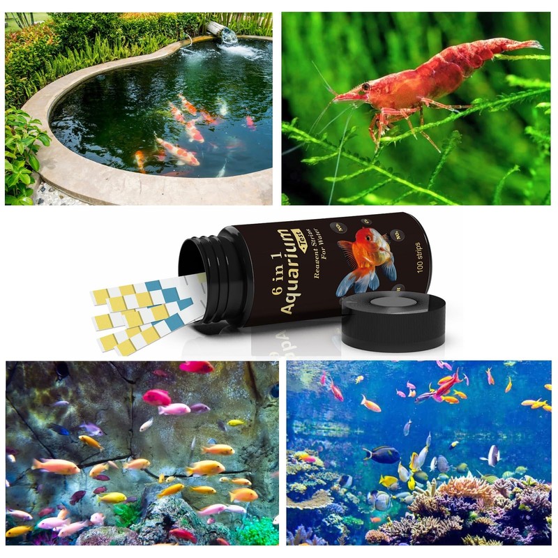 Fontee 6 in 1 Aquarium Teststreifen, 100 Stück, Aquarium Test