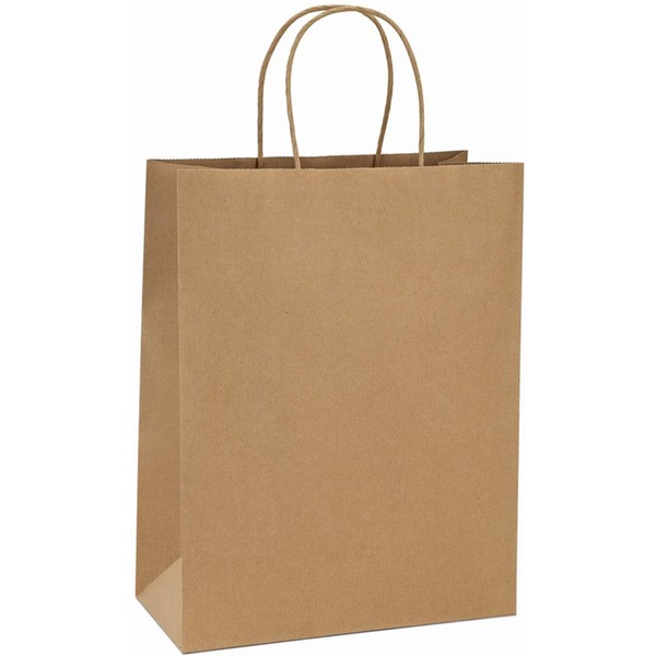 BagDream Shopping Bags 10x5x13 50Pcs Brown Kraft Paper Bags Paper Gift Bags, Merchandise Bags, Retail Bags, Party Bags, Gift Bags with Handles Bulk 100% Recycled Paper Bags