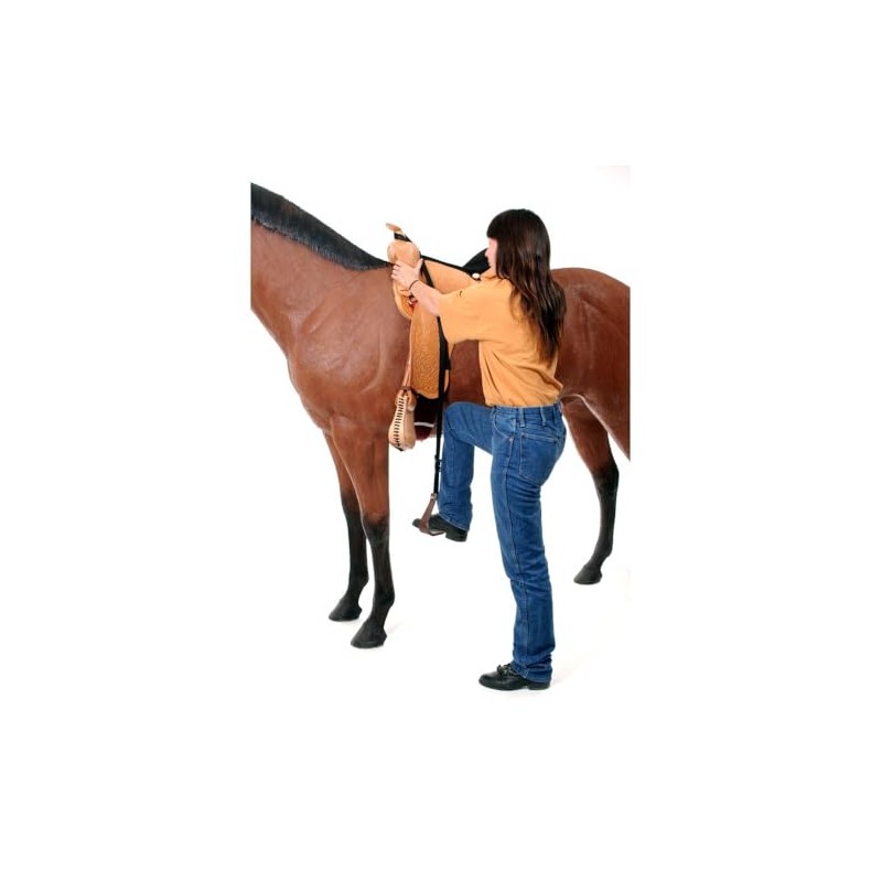 Tough 1 Stirrup Mounting Aid