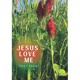 Jesus Loves Me This I Know II