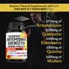 𝐀𝐫𝐭𝐞𝐦𝐢𝐬𝐢𝐧𝐢𝐧 𝟑𝟕𝟓𝟎𝐦𝐠 Quercetin 1000mg Elderberry 1000mg Supplement with Sea Moss