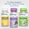 SOLARAY Berberine Root Extract Advanced Formula, AMPK Activator, Healthy Immune,