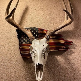 European Trophy Mount Plaque Skull Hanger Kit, USA Flag Decor Hooker Pedestal, Perfect Prey Display Rack for Hanging and Mounting Taxidermy Deer Antlers and Other Skulls (Hanger Kit-A-Large)