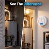 Standalone Carbon Monoxide Detector with LCD Display – CO Gas