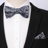 HISDERN Bow Ties for Men Paisley Mens Bow Tie Self