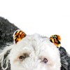 Midlee Tiger Dog Costume Headband & Tail- Large