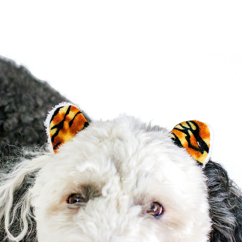 Midlee Tiger Dog Costume Headband & Tail- Large