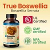 TrueMed Boswellia Serrata Extract Support Joints and Muscle 600 mg