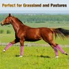 CFDXK Fly Boots for Horses Set of 4, Breathable Plastic