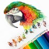 PATIKIL Watercolor Pencil, 6Pcs Water Soluble Pencils for Blending, Coloring,