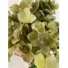 Unbranded Gorgeous, Realistic Chartreuse Faux Cone Hydrangea - highest quality