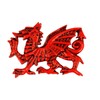 Wales Dragon Resin Printed Magnet | Bold & Mythical Welsh