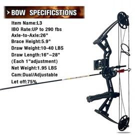 PANDARUS Compound Bow Set 10-40lbs for Pull Child Right Hand Lightweight Design Bow Adjustable 16"~28" Draw Length IBO 290fps New 2024 Professional Set (Pink Right Handed Bag Pro)
