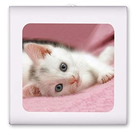 Plug in Dimmable LED Night Light with Dusk to Dawn Auto Sensor, Adjustable Brightness, Warm Light, Auto On/Off Nightlight for Bathroom, Hallway, Nursery, Bedrooms - Relaxed Kitten