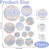 65 Pcs Round Prism Window Stickers, BetterJonny Bird Protection, Rainbow