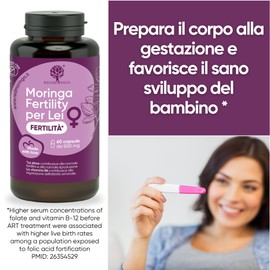 Frauen-Fertilitäts-Ergänzungsmittel – Moringa, Zink, Vitamin B6 und B12, Folsäure | Nahrungsergänzung für weibliche Fruchtbarkeit, Hormonunterstützung & Menstruationszyklus | 60 Kapseln - RedMoringa