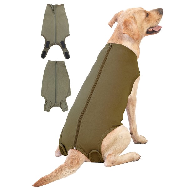 Caslfuca Caslfuca Dog Surgery Recovery Suit - After Spay, Abdominal