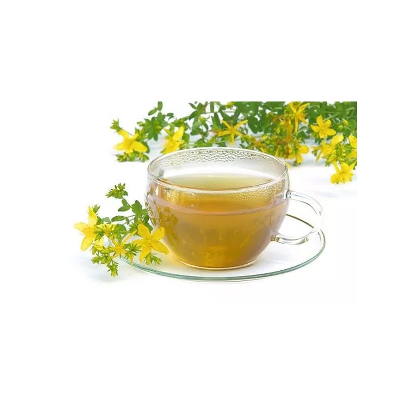 Nature Tea St. John's Wort C/S - Dried Hypericum perforatum