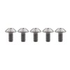 Ruifu Titanium Alloy Hex Hole M6x12 15 20mm Bicycle Motorcycle