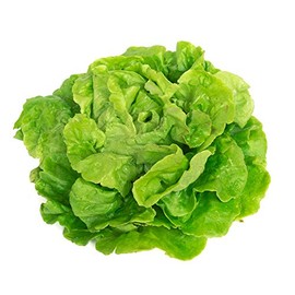 Tom Thumb Lettuce Seeds - 1 g Packet ~900 Seeds - Butterhead Type - Non-GMO, Heirloom Vegetable Garden Seeds