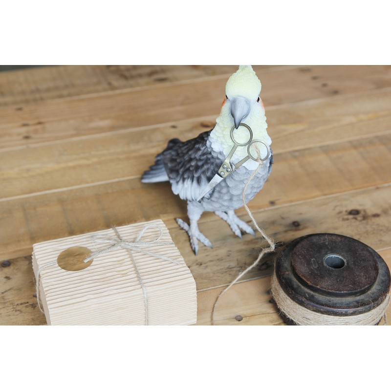 Birdie Bill Realistic Bird Hard Type Toy Doll Figure (Cockatiel)
