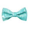 Alizeal Paisley Banded Adjustable Length Pre-tied Boy's Bow Tie, Turquoise