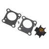Water Pump Impeller Kit 06192 ZV4 000 Outboard Motor Water
