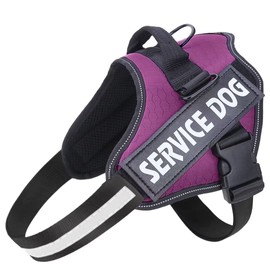 Belababy Soft No Pull Dog Harness Medium, Adjustable Assistance Service Dog Vest with Safety Buckle, Reflective Breathable Outdoor Training Dog Harness（Purple）