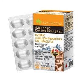 MapleTree 메이플트리 장용성 100억 프로바이오틱스 생유산균 500mg x 60캡슐 Maple Tree Jangyongsung 10 Billion Probiotics Live Lactobacillus 500mg x 60 Capsules