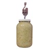 The Picklemeister Glass Fermentation Jar (Picklemeister 1 Gallon)