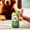 V8 Low Sodium Original 100% Vegetable Juice, Vegetable Blend with