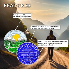 1 Month Sobriety Coin 30 Days Sobriety Chips AA Chip AA Coins 1 Month Sober chip Token Recovery Medallion Plastic case Included-Baking Paint Process