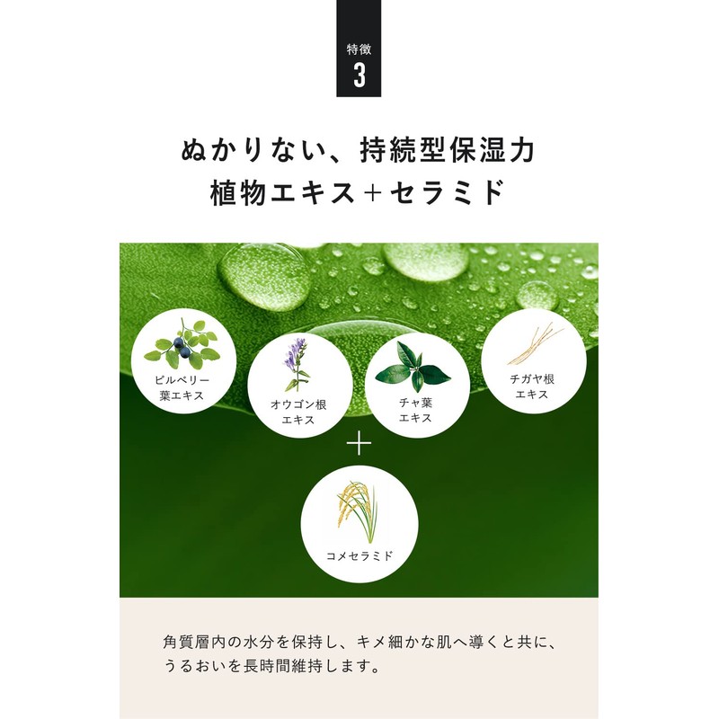 クワトロボタニコ エイジングケア クリーム メンズ ボタニカル パワーリフト ＆ ディープモイスト 男性化粧品 保湿