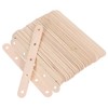 Operitacx Sturdy Single Wood Craft Sticks 100 Pack Ice Cream