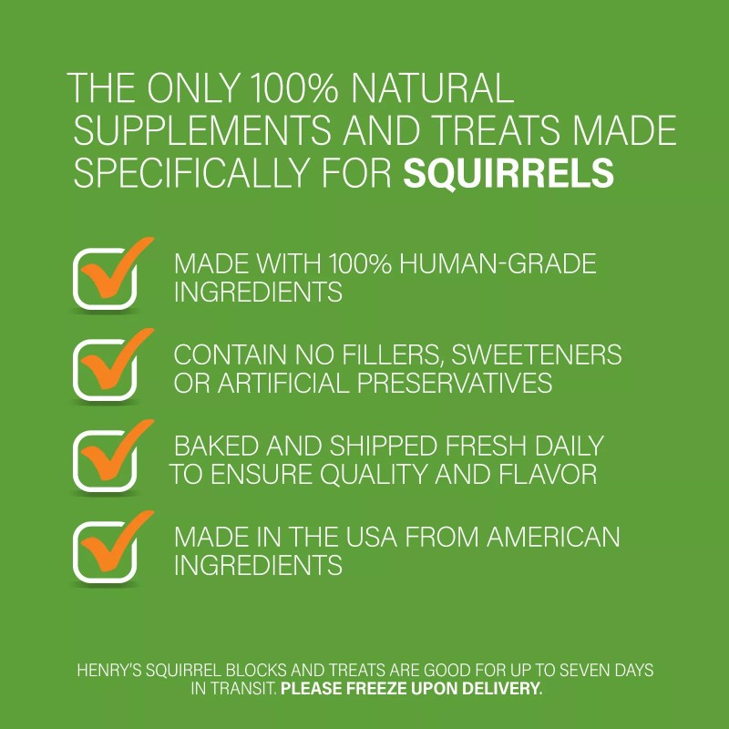 Henry's Pets Walnut Blocks - Food for Squirrels, Flying Squirrels,