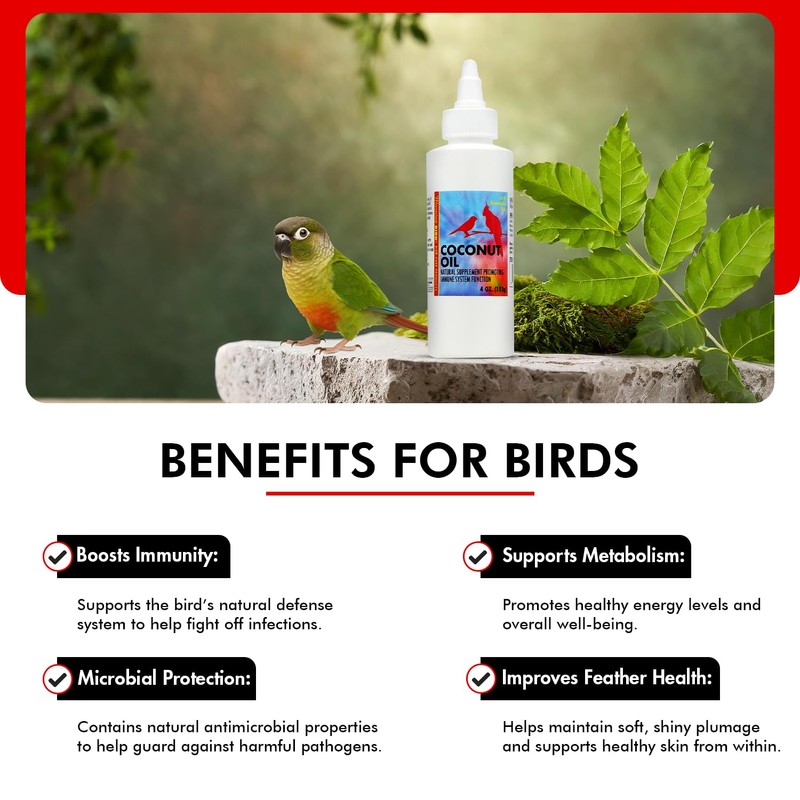 Morning Bird Coconut Oil for Birds 4 oz – Supports