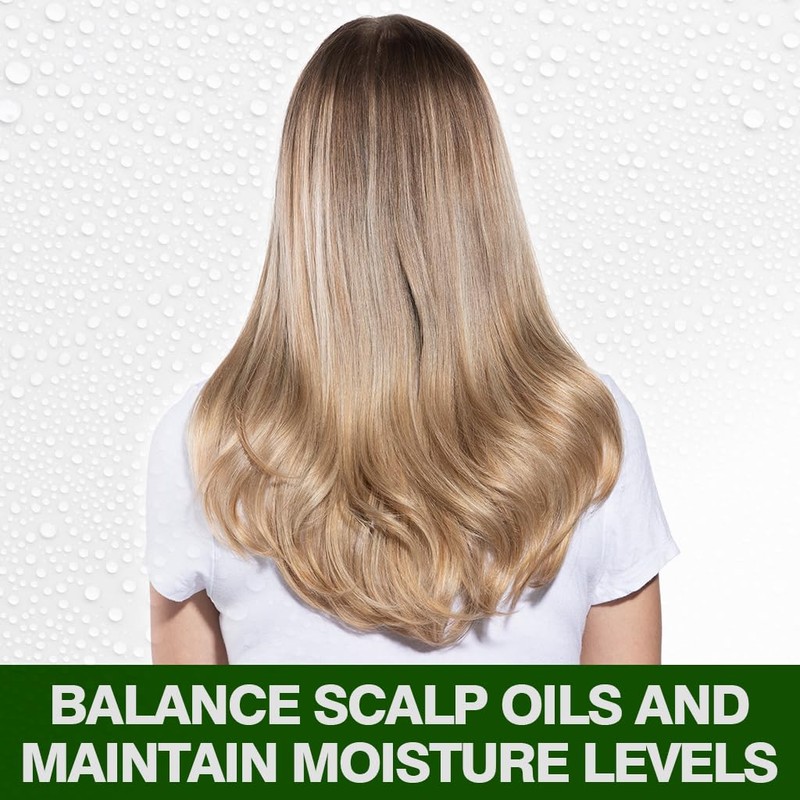 CHI Tea Tree Oil Shampoo, Strengthening Shampoo For Gently Cleansing